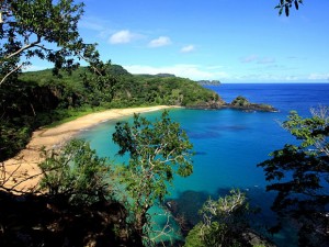 Paradis brésilien : connaissez les merveilles de Fernando de Noronha