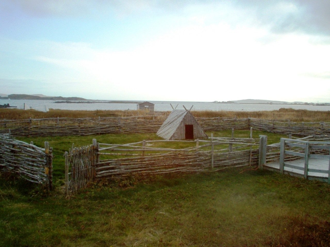 Les Vikings au Brésil (Xe siècle)