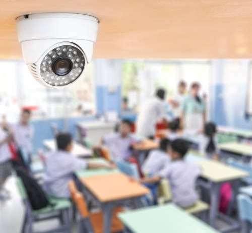 Pourquoi les caméras IP sont-elles si importantes pour la surveillance des enfants et des animaux de compagnie ?