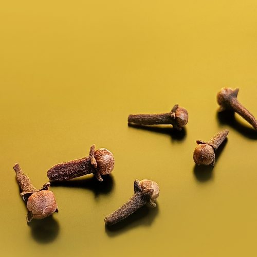 Le clou de girofle au Brésil